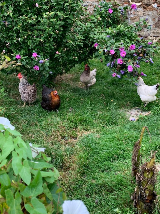 La Basse Monniere Bed & Breakfast Sevremont Exterior photo